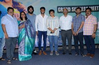Ashwathama Movie Success Meet